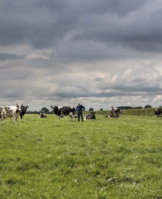 Croissance d'une ferme laitière