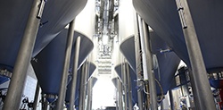 Bottom Angled view of fermentation vessels