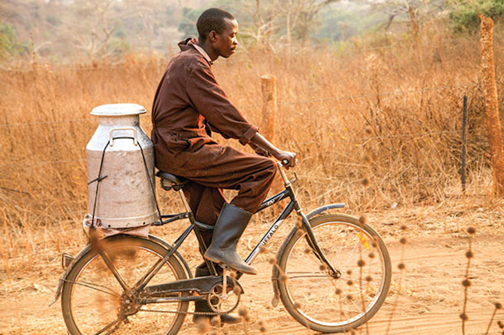 Bicycle progressive dairyman africa story