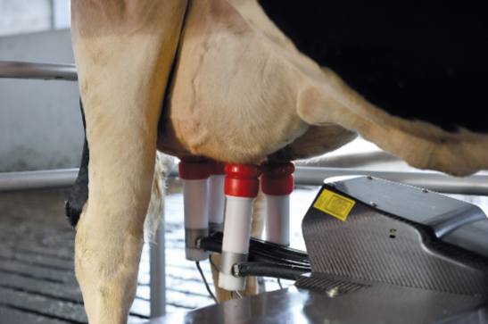 Tech Shaping Dairy Farmers Lives
